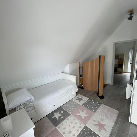 Modern House Close To Basel, Freiburg, Mulhouse, Europa-Park Chalampe Exterior foto