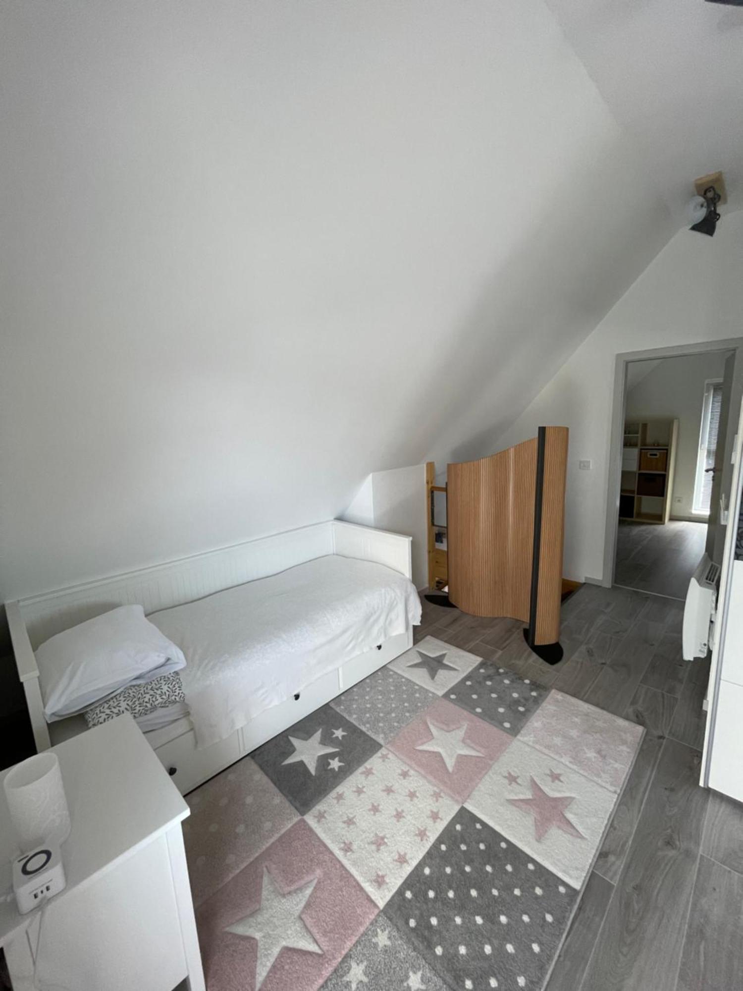 Modern House Close To Basel, Freiburg, Mulhouse, Europa-Park Chalampe Exterior foto